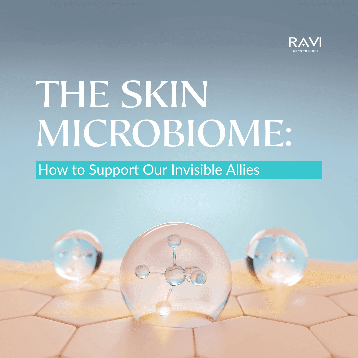 The Skin Microbiome: How to Support Our Invisible Allies